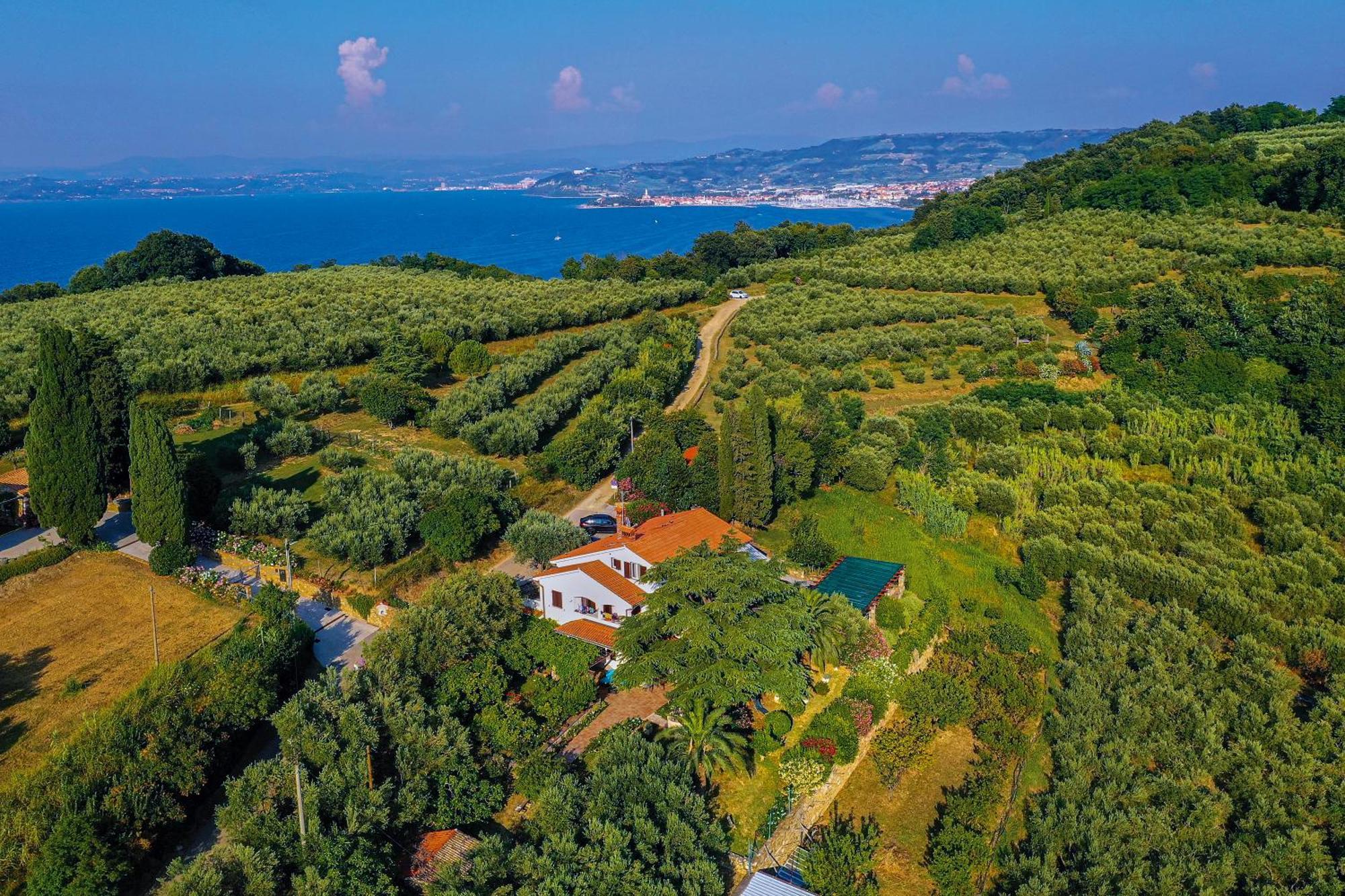 House Olive Garden Strunjan Διαμέρισμα Εξωτερικό φωτογραφία
