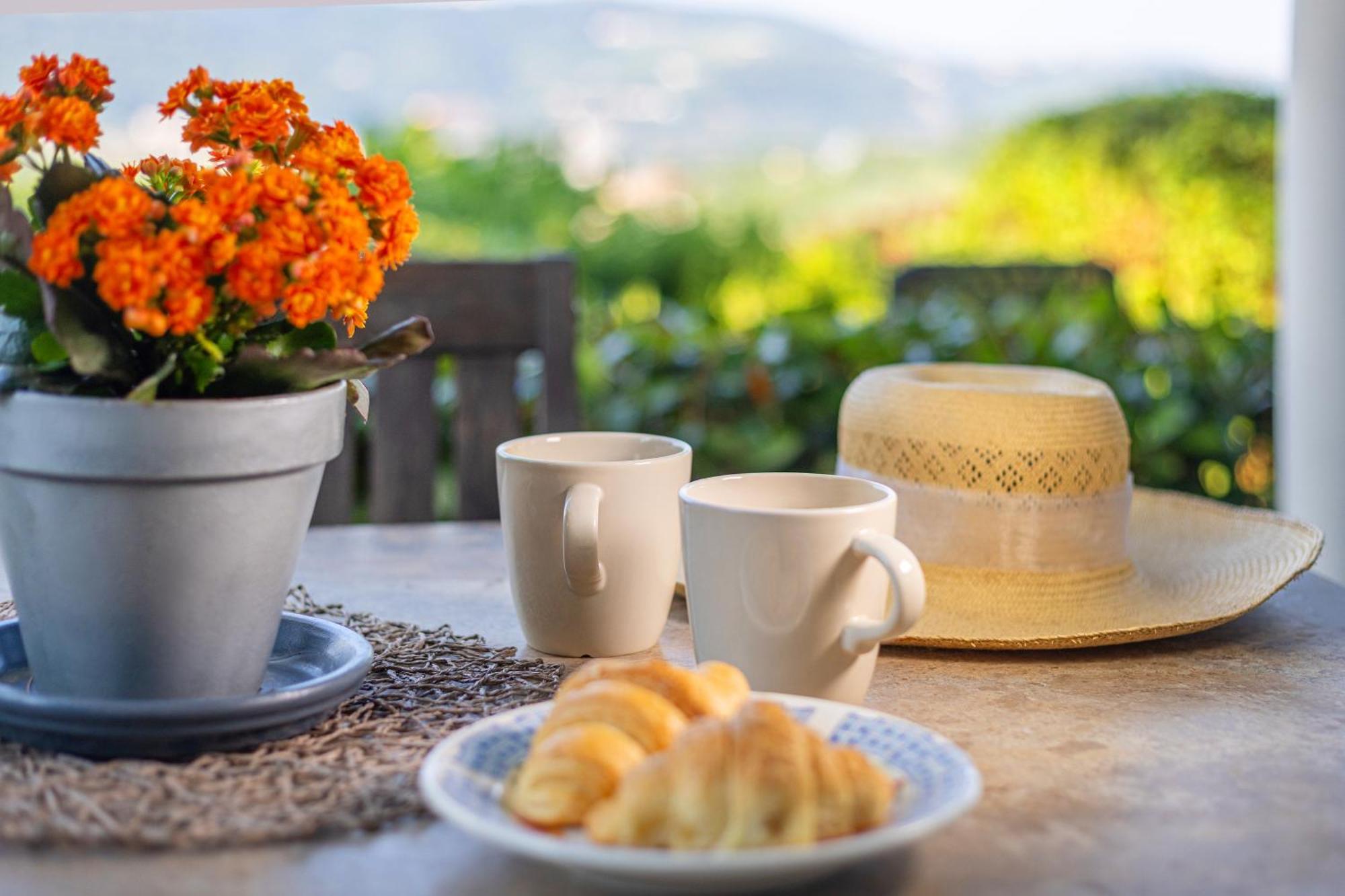 House Olive Garden Strunjan Διαμέρισμα Εξωτερικό φωτογραφία